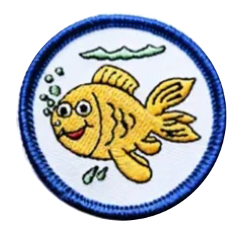 Schwimmschule, Düsseldorf, Kinderschwimmen, lernen, Anfänger, Schwimmunterricht, schwimmen, Kinder, Baby, Kurs