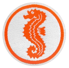 Schwimmschule, Düsseldorf, Kinderschwimmen, lernen, Anfänger, Schwimmunterricht, schwimmen, Kinder, Baby, Kurs